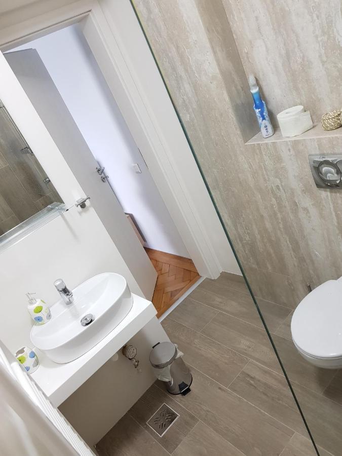 Cluj Central Square 2 Rooms Apartment Eksteriør billede